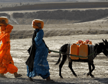 افغانستان کو COP28 سے خارج کر دیا گیا کیونکہ موسمیاتی اثرات گھر پر پڑ رہے ہیں۔