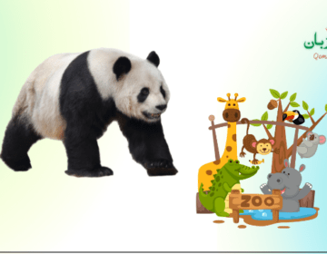 لاہور چڑیا گھر