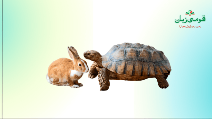 کچھوا اور خرگوش کچھوا اور خرگوش