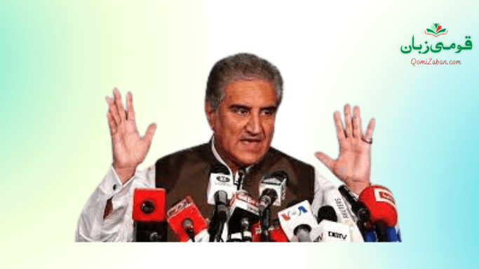 شاہ محمود قریشی کی گرفتاری: مہر بانو کا رہائی کیلئے الیکشن کمیشن سے رجوع